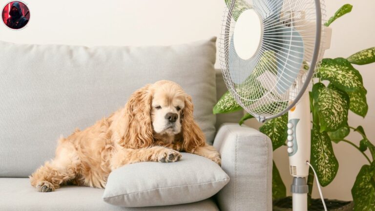 O ventilador Malory Chronus possui alguma garantia do fabricante?